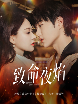 致命夜焰(80集) 致命夜焰(80集) 免费在线看全集