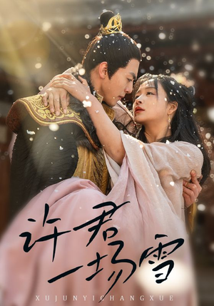 许君一场雪(43集) 许君一场雪(43集)短剧完整版免费
