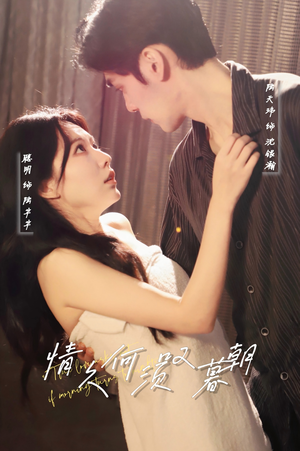 情久何须叹暮朝(61集) 情久何须叹暮朝(61集) 剧情简介