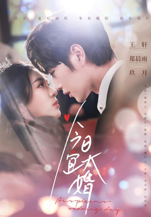 今日宜大婚(59集) 今日宜大婚(59集) 第一季