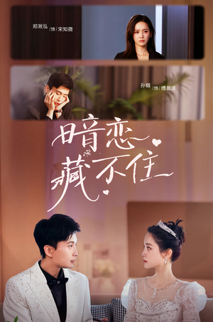 暗恋藏不住(25集) 暗恋藏不住(25集)全集都在这里了