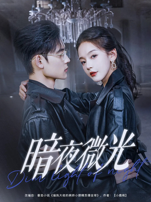 暗夜微光（86集）新短剧推荐