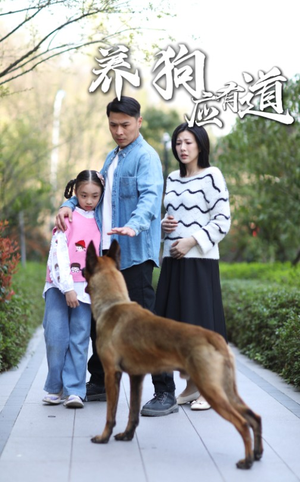 养狗应有道(60集) 养狗应有道(60集)免费短剧推荐