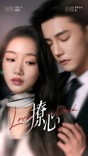 暗撩(80集) 暗撩(80集)全集下载