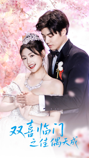 双喜临门之佳偶天成（42集）一共多少集