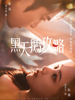 黑天鹅攻略（65集）短剧热门分享