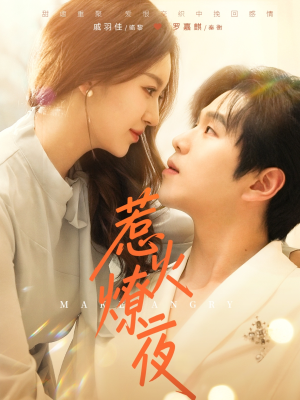 惹火燎夜(74集) 惹火燎夜(74集)大结局