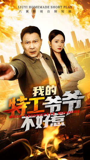 我的特工爷爷不好惹(68集) 我的特工爷爷不好惹(68集)一起追生活短剧