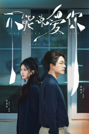 不能说爱你(64集) 不能说爱你(64集)全集下载
