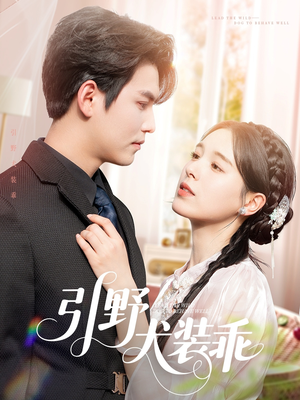 引野犬装乖(61集) 引野犬装乖(61集)在哪个平台看