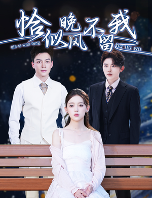 恰似晚风不留我(51集) 恰似晚风不留我(51集)热门短剧追到爽