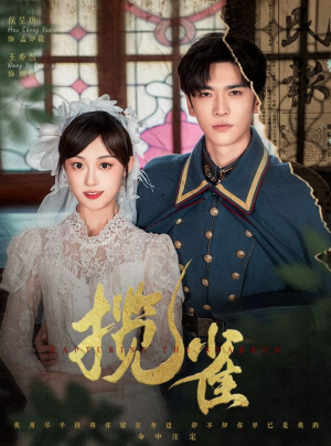 揽雀(61集) 揽雀(61集)全网独播免费看