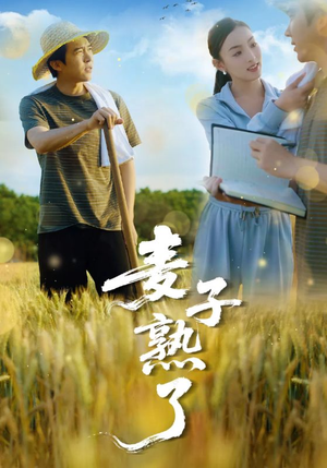 麦子熟了(52集) 麦子熟了(52集)全集完整版