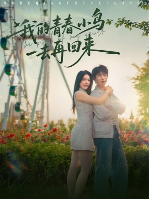 我的青春小鸟一去再回来(95集) 我的青春小鸟一去再回来(95集)免费短剧看全集