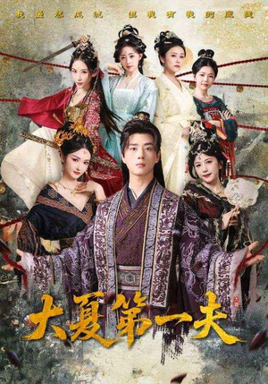 大夏第一夫(90集) 大夏第一夫(90集)我全都看完了