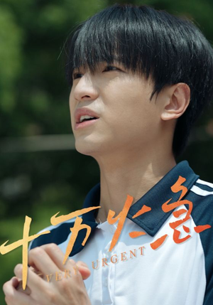 十万火急(30集) 十万火急(30集)爆火短剧追不停