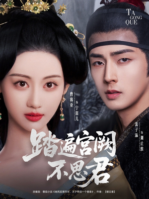 踏遍宫阙不思君(75集) 踏遍宫阙不思君(75集)无需会员轻松看