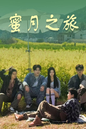 蜜月之旅(35集) 蜜月之旅(35集)在线看免费版