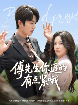 傅先生你追的有点紧哦(95集) 傅先生你追的有点紧哦(95集)免费短剧完整版