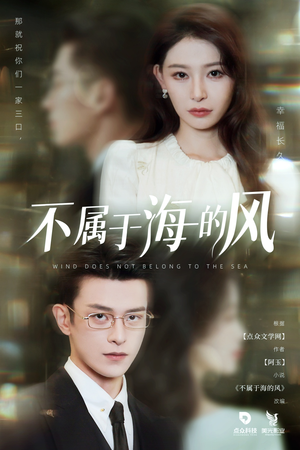 不属于海的风(40集) 不属于海的风(40集)UC网盘在线看