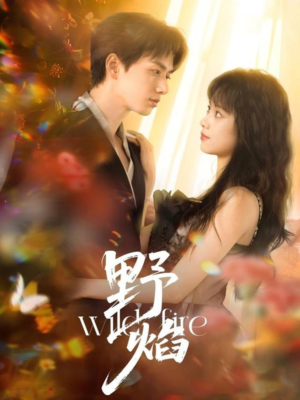 野焰(60集) 野焰(60集)免费观看全集