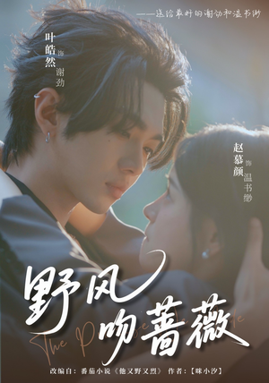 野风吻蔷薇(78集) 野风吻蔷薇(78集)好看的短剧分享