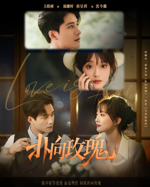 扑向玫瑰(77集) 扑向玫瑰(77集)穿越短剧推荐