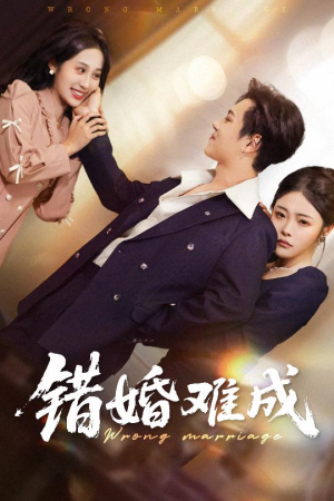 错婚难成(45集) 错婚难成(45集)免费短剧看全集