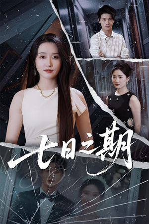 七日之期(90集) 七日之期(90集)热门短剧推荐