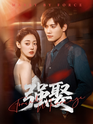 强娶(80集) 强娶(80集)火热短剧抢先看