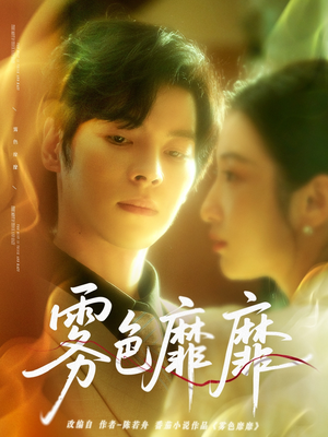 雾色靡靡(67集) 雾色靡靡(67集)评价怎么样