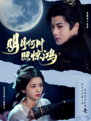 明月何时照惊鸿(80集) 明月何时照惊鸿(80集)全网独播免费看