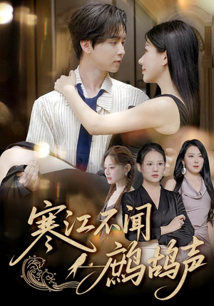 寒江不闻鹧鸪声(55集) 寒江不闻鹧鸪声(55集)免费观看完整版