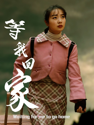 等我回家(23集) 等我回家(23集)1-102集