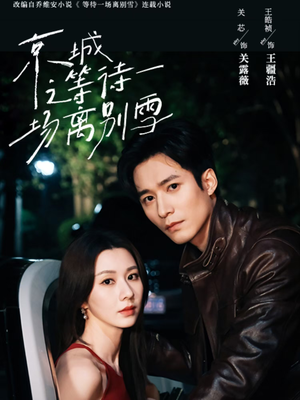 京城之等待一场离别雪(42集) 京城之等待一场离别雪(42集)让你一口气看完