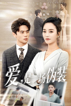 爱是一场伪装（60集）第三季