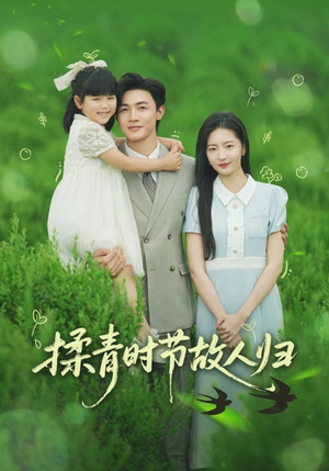 揉青时节故人归（60集）热门爆款短剧