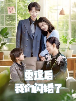 重逢后我们闪婚了（35集）全集免费看短剧