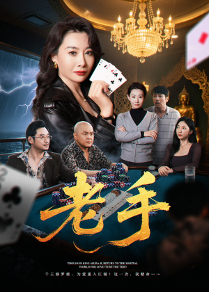 老手(36集) 老手(36集)全集一次看完