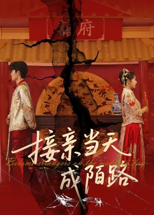 接亲当天成陌路(50集) 接亲当天成陌路(50集)大结局