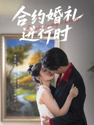 合约婚礼进行时(30集) 合约婚礼进行时(30集)全网独播免费看