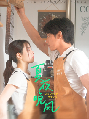 夏夜晚风(12集) 夏夜晚风(12集)短剧推荐分享