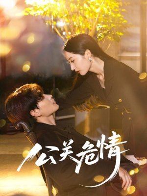 公关危情(60集) 公关危情(60集)好看的短剧电影