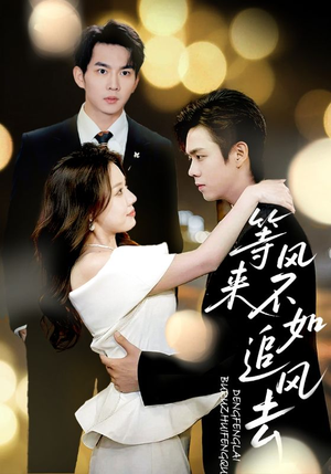 等风来不如追风去(72集) 等风来不如追风去(72集)独家短剧免费看