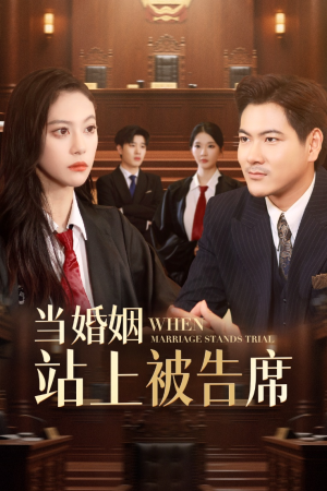 当婚姻站上被告席(30集) 当婚姻站上被告席(30集)短剧太好看了吧