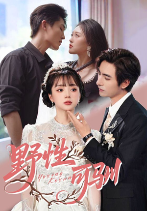 野性可驯(63集) 野性可驯(63集)短剧更新抢先看