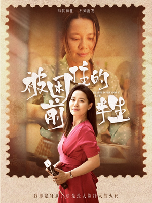 被困住的前半生(63集) 被困住的前半生(63集)免费在线看全集