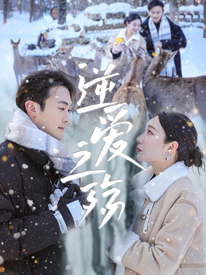 逆爱之殇(60集) 逆爱之殇(60集)我全都看完了