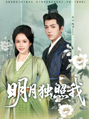 明月独照我(80集) 明月独照我(80集)精彩短剧追不停