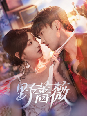 野蔷薇（60集）精彩不断免费看